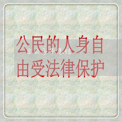 目公务年总结