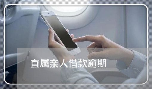 直属亲人借款逾期