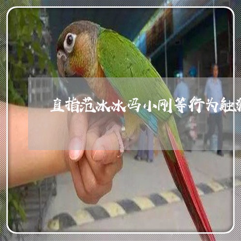 直指范冰冰冯小刚等行为触犯刑法 直指范冰冰冯小刚等行为触犯刑法