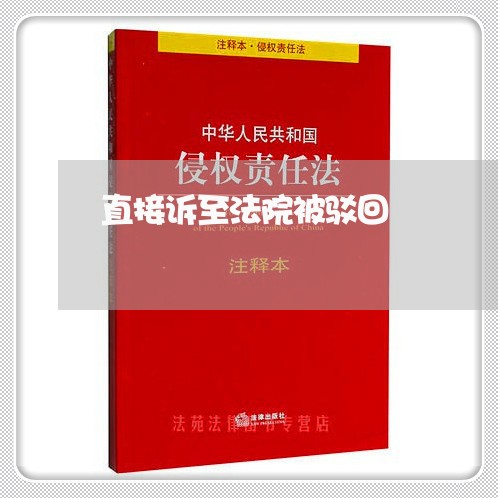 直接诉至法院被驳回
