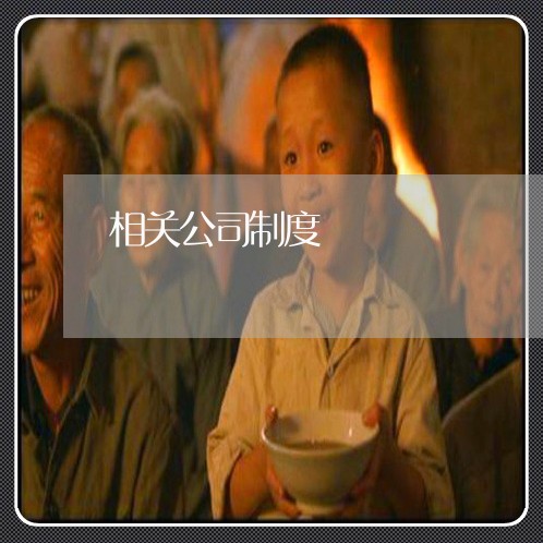 相关公司制度