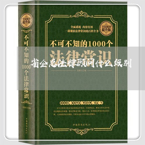 省企总法律顾问什么级别/2023061950471 省企总法律顾问什么级别/2023061950471