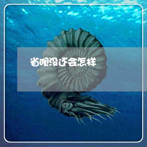 省呗没还会怎样/2023013060515 省呗没还会怎样/2023013060515