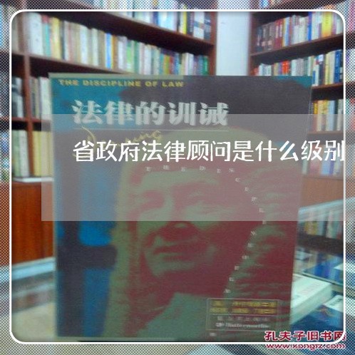 省政府法律顾问是什么级别/2023061906270