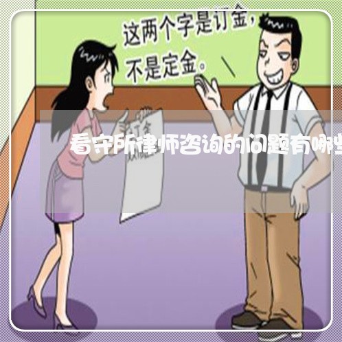 看守所律师咨询的问题有哪些