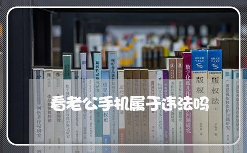 看老公手机属于违法吗