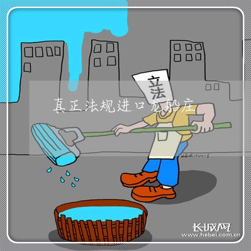 真正法规进口龙船庄