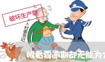 眼看要逾期却无能为力 眼看要逾期却无能为力