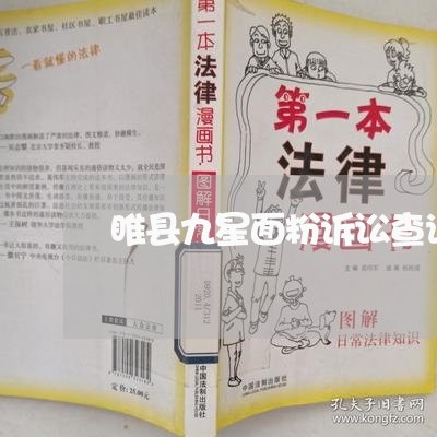 睢县九星面粉诉讼查询 睢县九星面粉诉讼查询