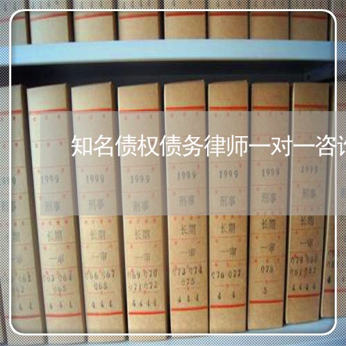 知名债权债务律师一对一咨询