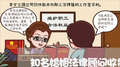 知名婚姻法律顾问收费标准