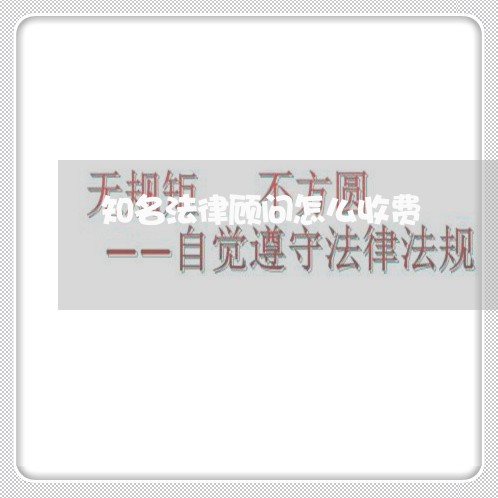 知名法律顾问怎么收费/2023061796969