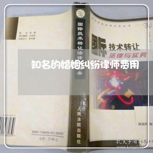 知名的婚姻纠纷律师费用 知名的婚姻纠纷律师费用