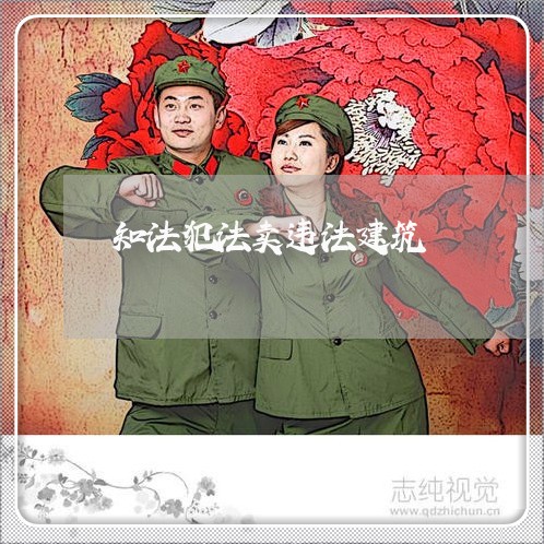 知法犯法卖违法建筑