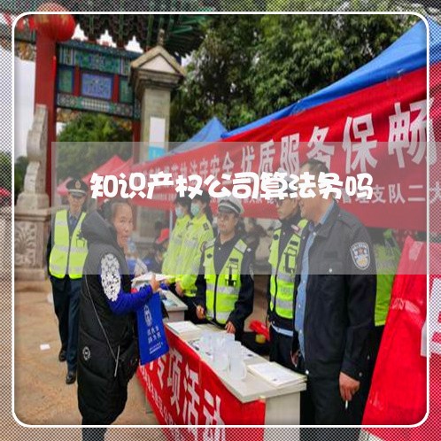 知识产权公司算法务吗 知识产权公司算法务吗