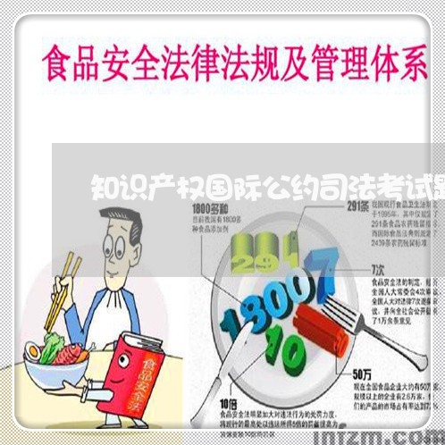 知识产权国际公约司法考试题 知识产权国际公约司法考试题