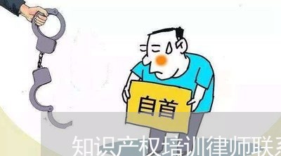知识产权培训律师联系方式