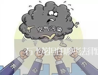 石飞龙担任哪些法律顾问/2023061820380