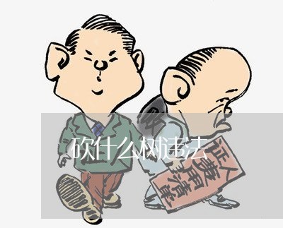砍什么树违法