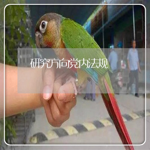 研究方向党内法规