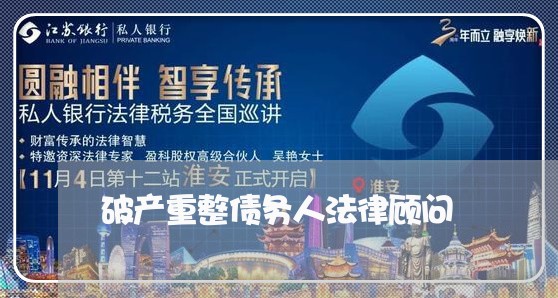 破产重整债务人法律顾问/2023061996828