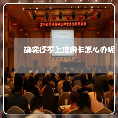 确实还不上信用卡怎么办呢/2023061789270