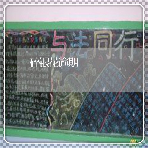 碎银花逾期 碎银花逾期