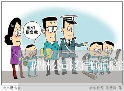 碑林公司法律顾问咨询 碑林公司法律顾问咨询