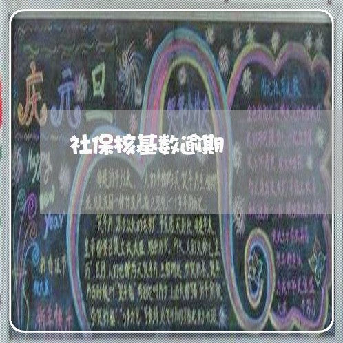 社保核基数逾期