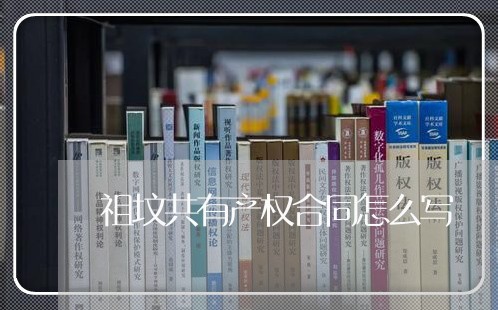祖坟共有产权合同怎么写/2023040293814
