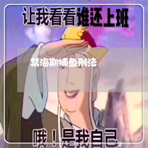 禁海期捕鱼刑法 禁海期捕鱼刑法