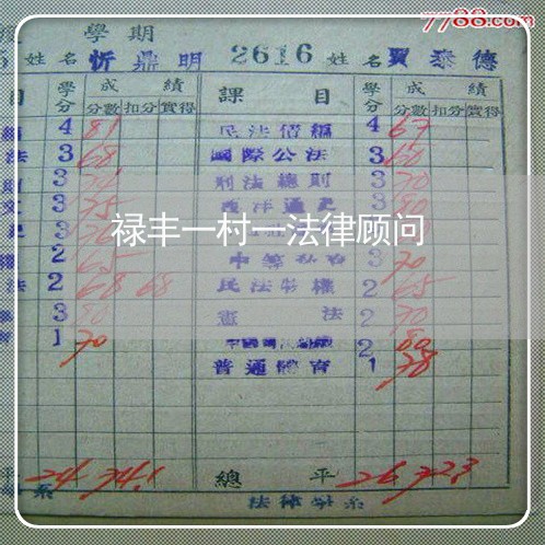 禄丰一村一法律顾问/2023061906037