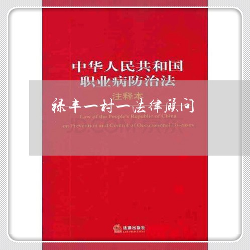 禄丰一村一法律顾问/2023061915838