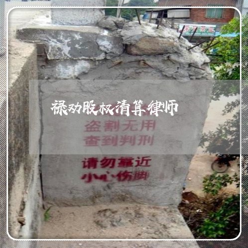 禄劝股权清算律师