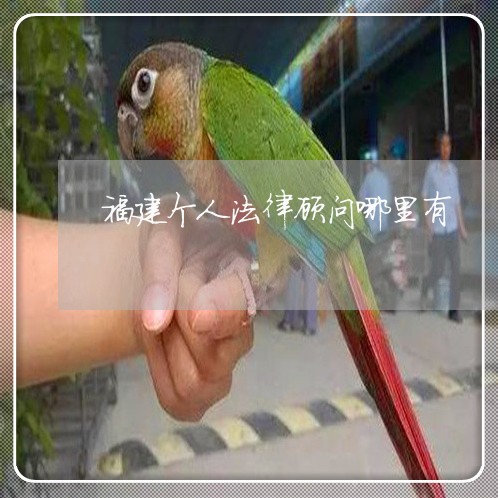 福建个人法律顾问哪里有/2023061862592