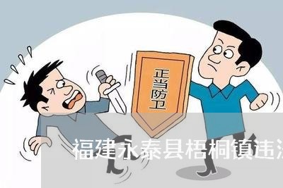 福建永泰县梧桐镇违法征地