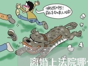 离婚上法院哪个部门 离婚上法院哪个部门