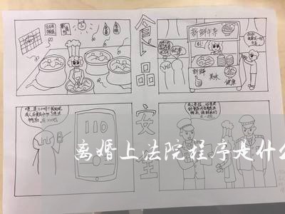 离婚上法院程序是什么样的 离婚上法院程序是什么样的