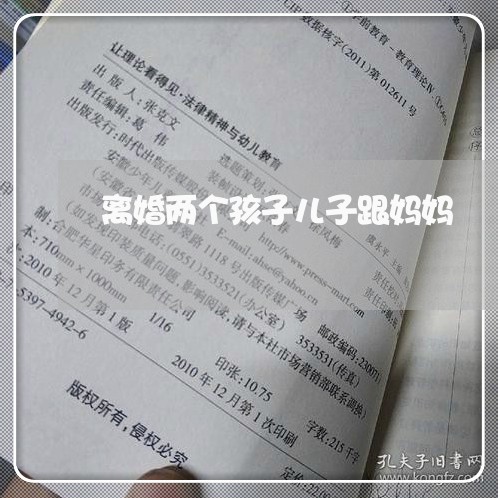 离婚两个孩子儿子跟妈妈/2023042493895