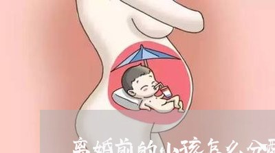 离婚前的小孩怎么分配房子/2023060928158