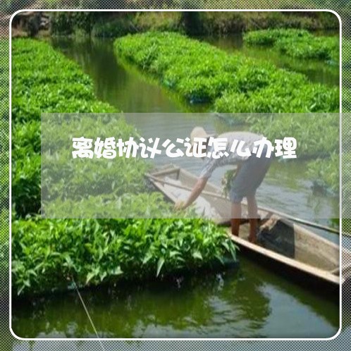 离婚协议公证怎么办理