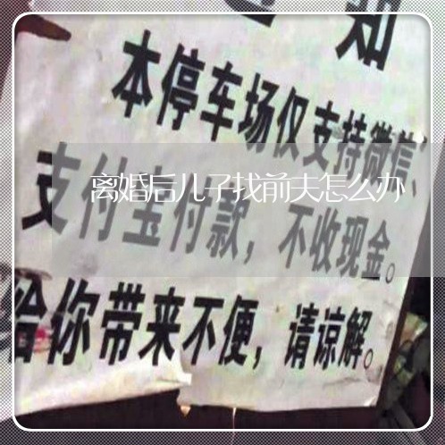 离婚后儿子找前夫怎么办/2023042443503 离婚后儿子找前夫怎么办/2023042443503