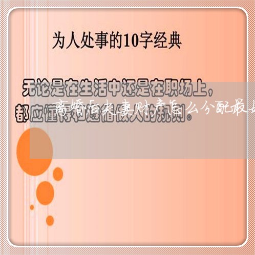 离婚后夫妻财产怎么分配最好/2023061105059