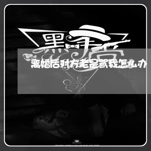 离婚后对方老是骂我怎么办