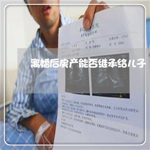 离婚后房产能否继承给儿子/2023060205927