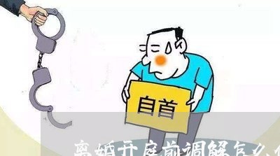 离婚开庭前调解怎么做证据/2023060984917