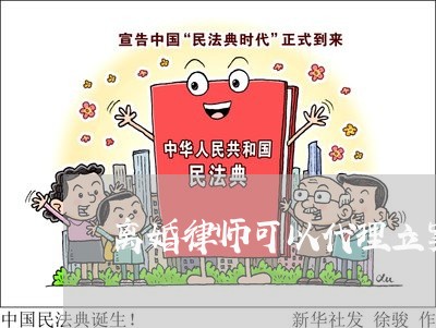 离婚律师可以代理立案吗 离婚律师可以代理立案吗