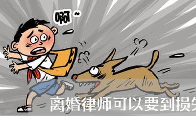 离婚律师可以要到损失赔偿/2023060928048