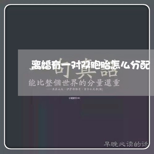 离婚有一对双胞胎怎么分配/2023060207362