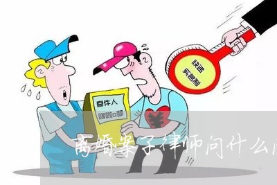 离婚案子律师问什么问题好/2023060940483